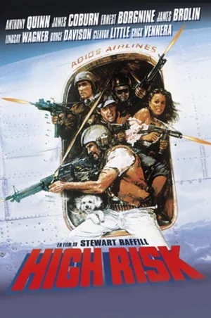 High Risk (1981)