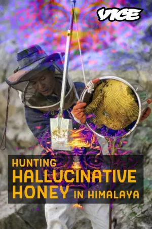 Hunting Hallucinative Honey in Himalaya (2016)