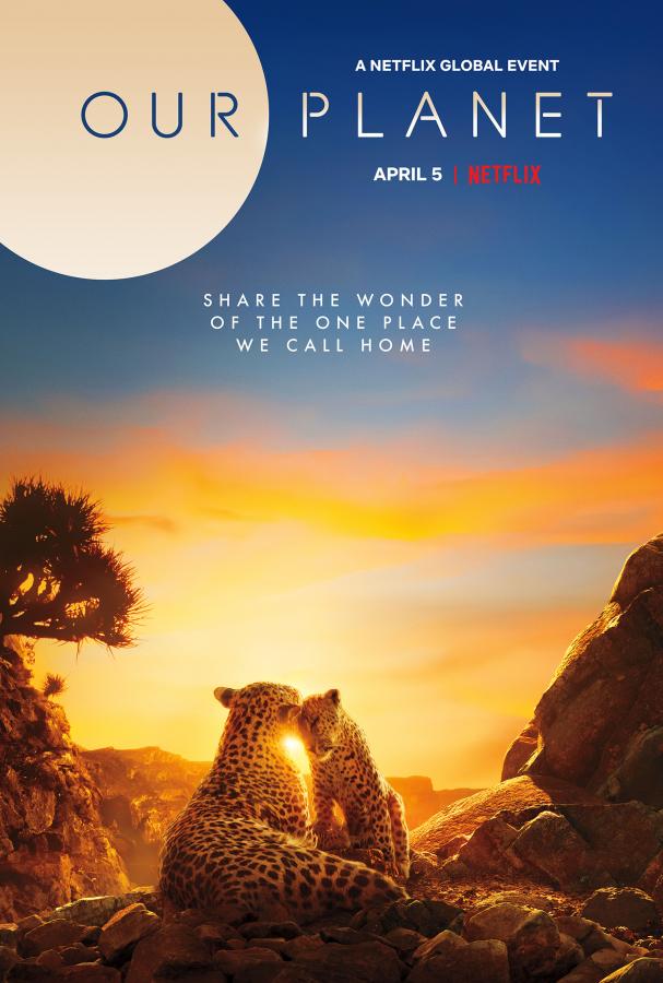 Our Planet - Jungles S01E03 (2019)
