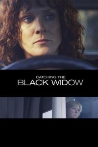 Catching The Black Widow
