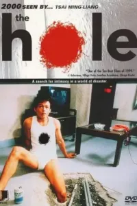 The Hole Poster