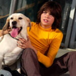 The Gold Retrievers (2009)