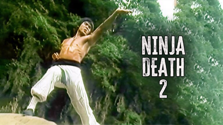 Rage of a Ninja (1988)