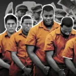 13th (2016)