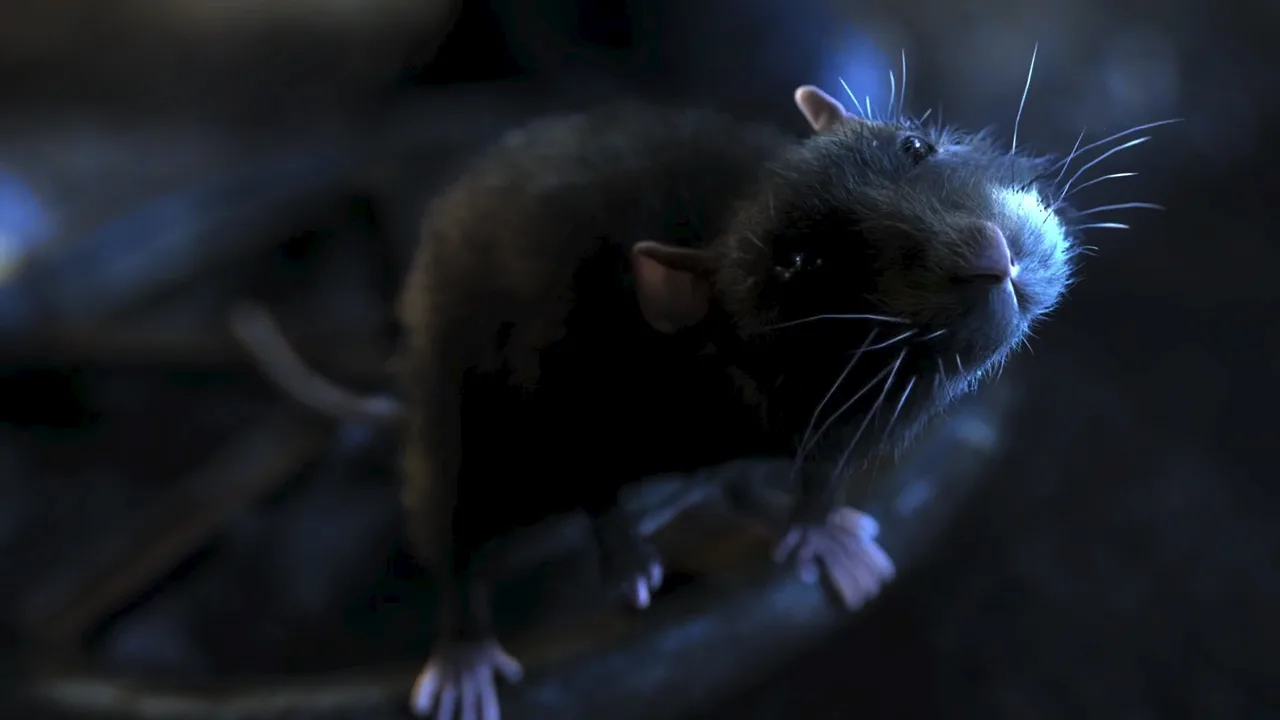 One Rat Short (2006)